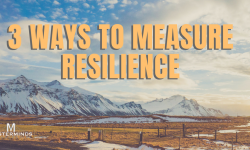 3 Ways to Measure Resilience