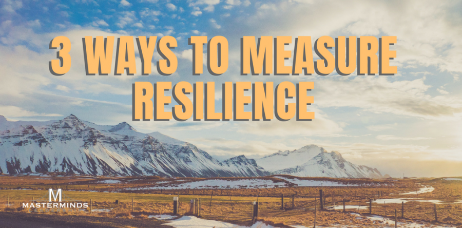 3 Ways to Measure Resilience