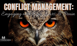 Conflict Management – Engaging with Eyes, Ears, & Brain